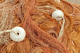 20130308_0085 1